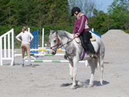 IMG_0465_web